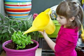 Herb Garden for Kids